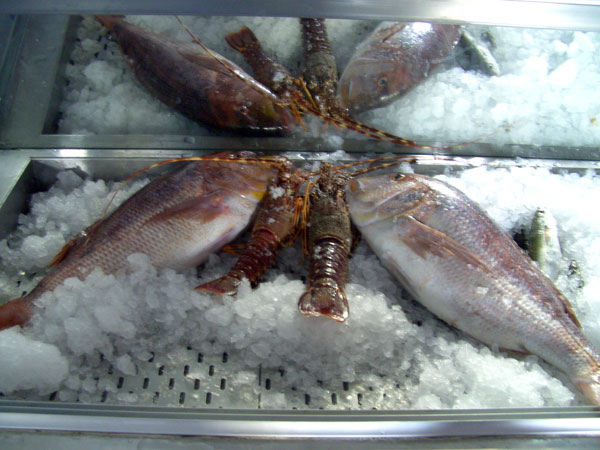 The fish tavern Fyssas, right next to the sea
