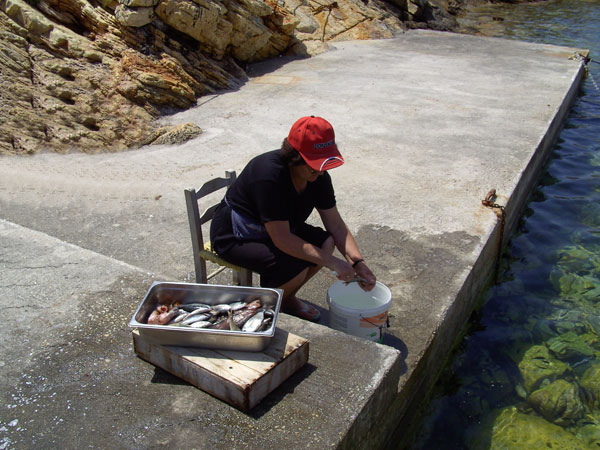 The fish tavern Fyssas, right next to the sea