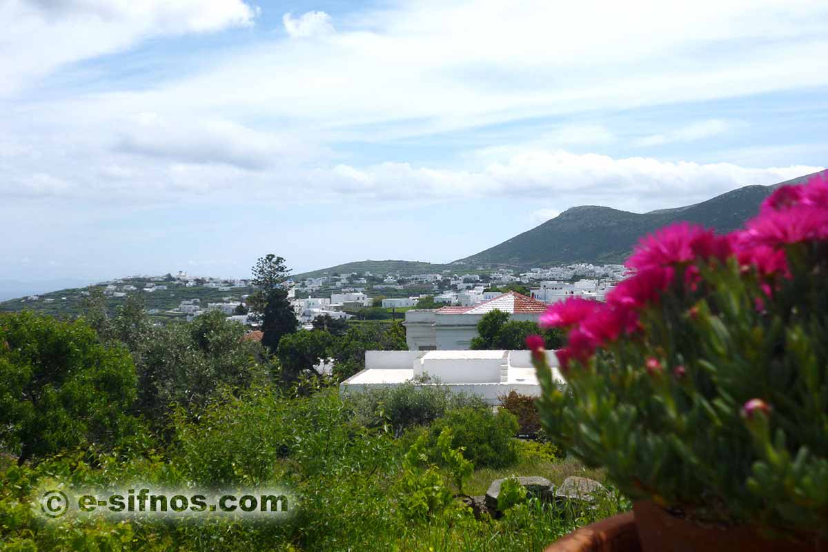 The village of Artemonas