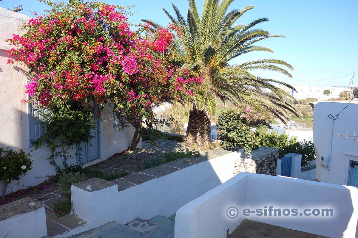 A garden in the village of Agios Loukas