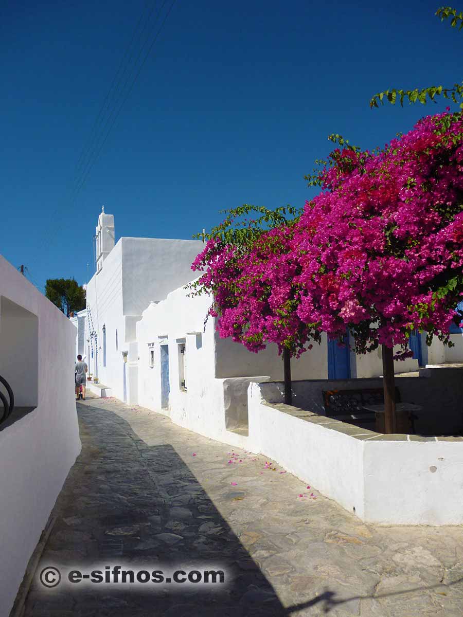 Walking at the central alley of Artemonas