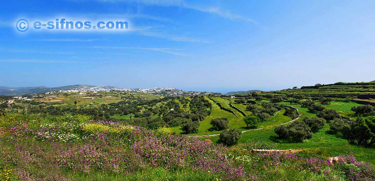 A landscape with wild flowers and at the back the central villages