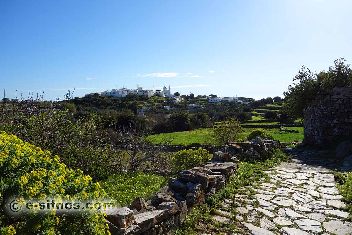 The path from Apollonia to Kato Petali in spring in Sifnos