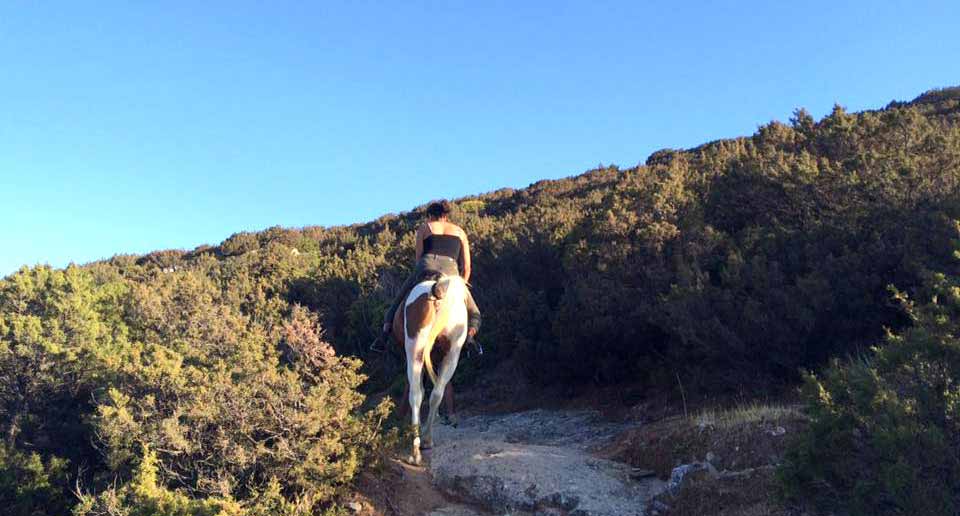 Horseback riding on the trails of Sifnos