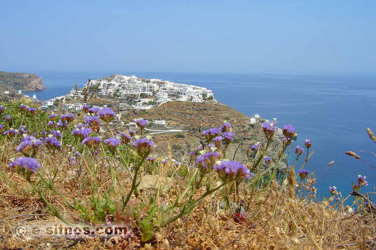 The trail that leads to Kastro, with flowers